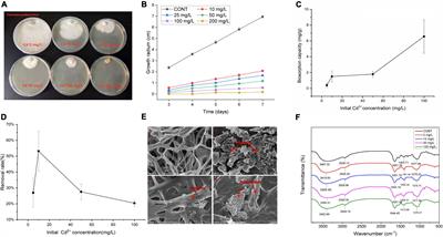 A fungus (Trametes pubescens) resists cadmium toxicity by rewiring nitrogen metabolism and enhancing energy metabolism